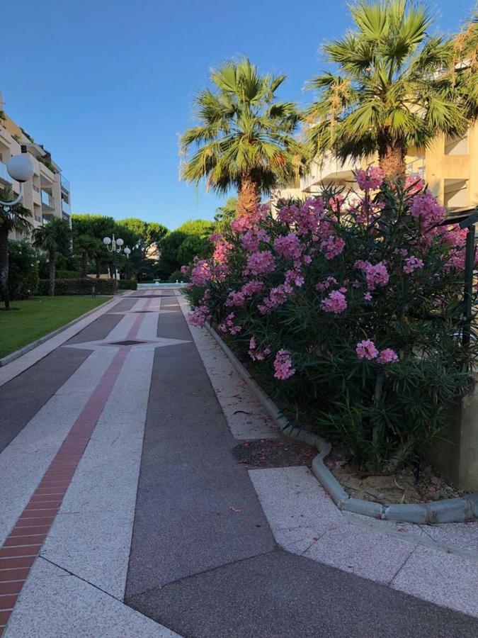 Front Beach Luxury Near Nice Airport Cagnes-sur-Mer Ngoại thất bức ảnh